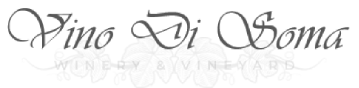 Vino Di Soma logo